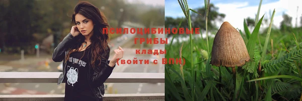 экстази Богданович