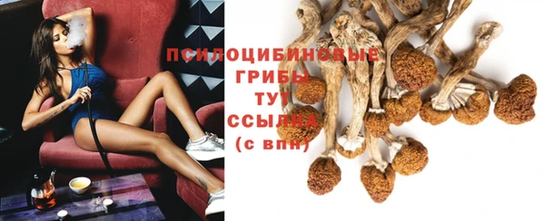 скорость Богородицк