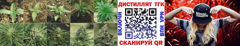 мега вход  Энгельс  ТГК вейп с тгк 