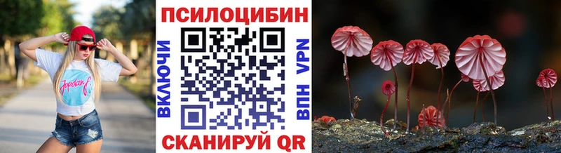 Псилоцибиновые грибы GOLDEN TEACHER  Энгельс 